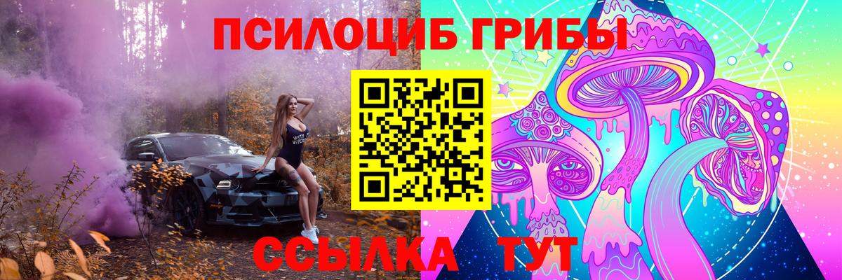 Сергиев Посад  Псилоцибиновые грибы Psilocybine cubensis  Вход с VPN 